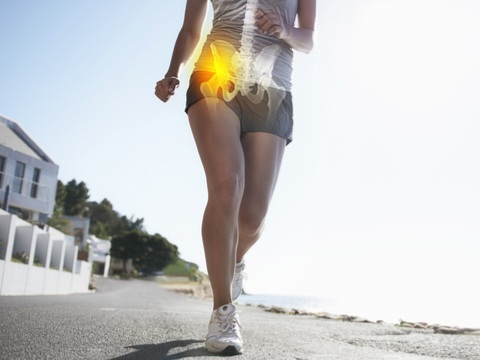 Understanding the Psoas Muscle: A Key to Relieving Hip and Lower Back&nbsp;Pain